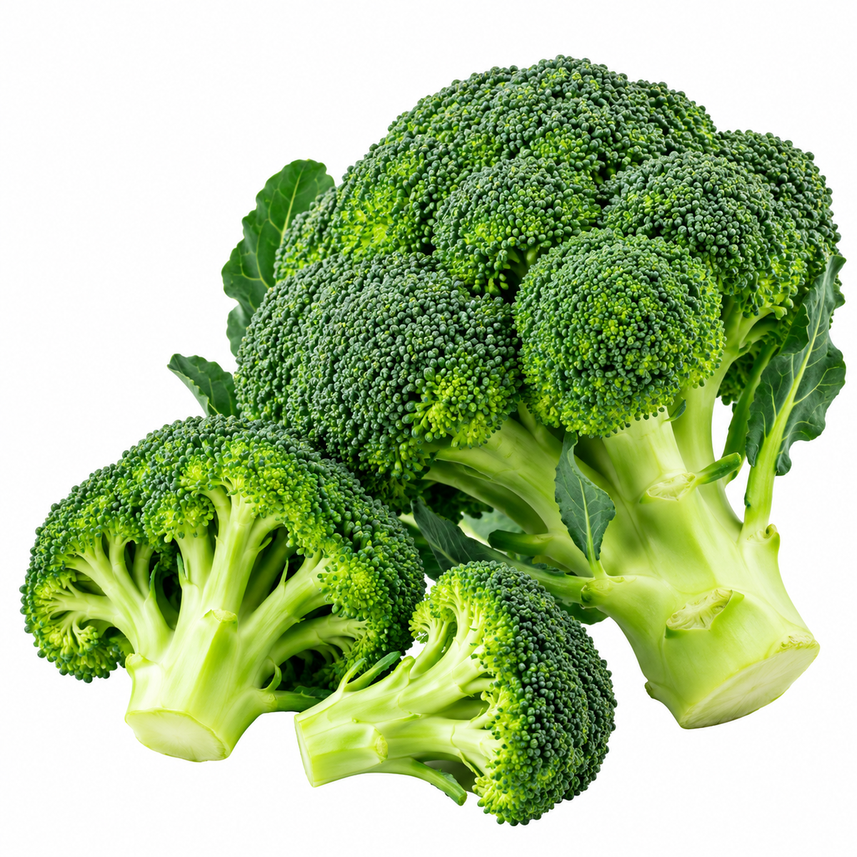 Fresh green broccoli with whole head, tender florets and stems – Kart Basket