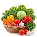 Fresh Vegetables