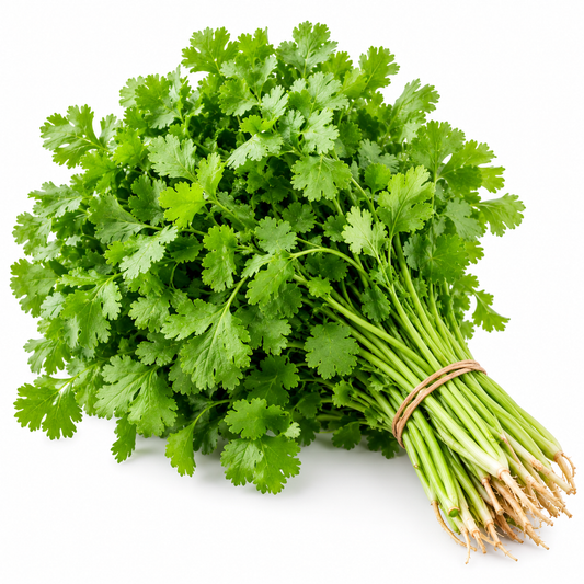 Fresh green coriander leaves (hara dhaniya) tied in a bunch with tender stems – Kart Basket