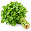Fresh Coriander Leaves (Hara Dhaniya)